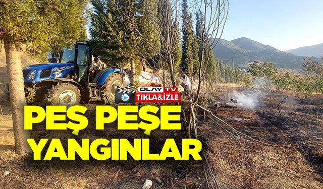 ORMAN YANGINI KONTROL ALTINA ALINDI