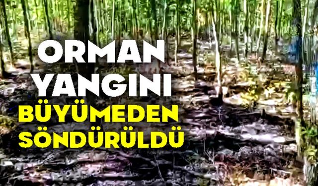 ORMAN YANGINI BÜYÜMEDEN SÖNDÜRÜLDÜ