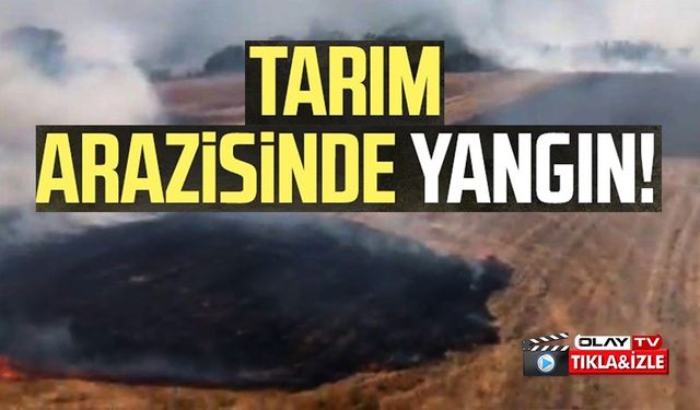 TARIM ARAZİSİNDE ÇIKAN YANGIN SÖNDÜRÜLDÜ