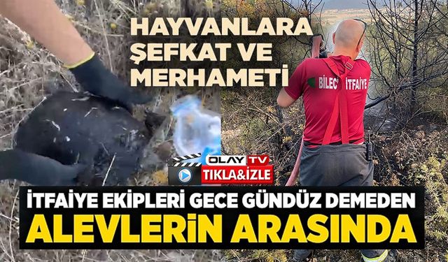 ORMAN YANGINLARINDA VAR GÜCÜYLE ÇALIŞAN İTFAİYECİLER HAYVANLARA DA BÜYÜK ŞEFKAT GÖSTERİYOR