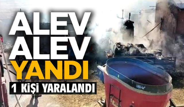 BİLECİK'TE ÇIKAN SAMANLIK YANGINI, 1 YARALI