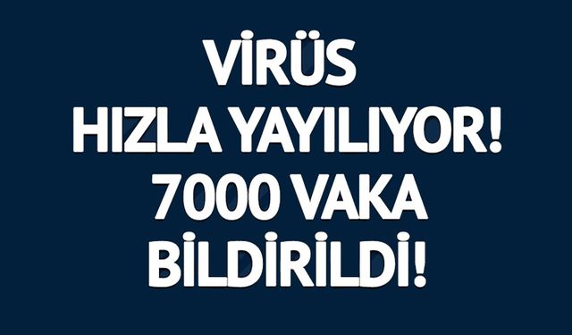 SİVRİSİNEK KAYNAKLI CHİKUNGUNYA VİRÜSÜ KAPIDA