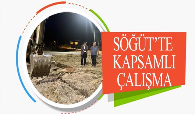 SÖĞÜT'TE TEMİZLİK VE DÜZENLEME ÇALIŞMALARI HIZ KESMİYOR