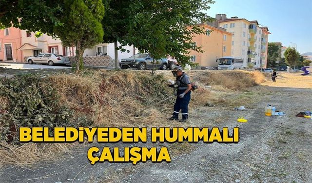 SÖĞÜT'TE REFÜJLER VE YEŞİL ALANLAR YENİLENİYOR