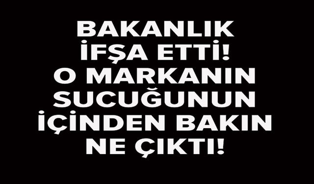 BAKANLIK TEK TEK İFŞA ETTİ