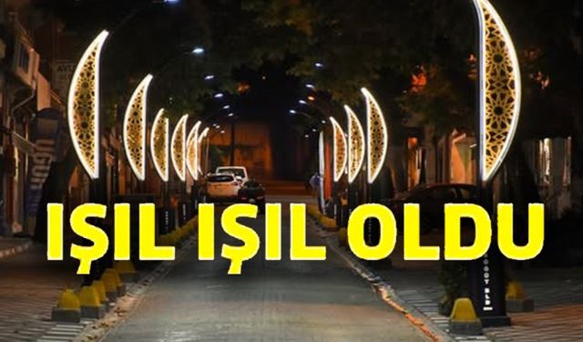 SÖĞÜT'TE CADDELER IŞIL IŞIL OLDU