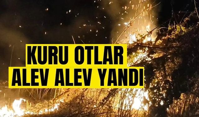 ANIZ YANGINI YAYILMADAN SÖNDÜRÜLDÜ