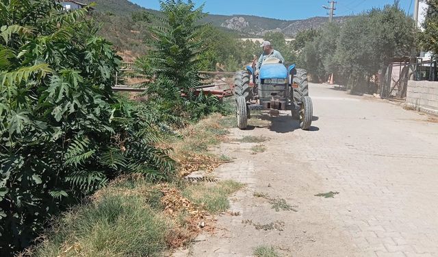 BAYIRKÖY'DE YABANİ OTLAR TEMİZLENDİ