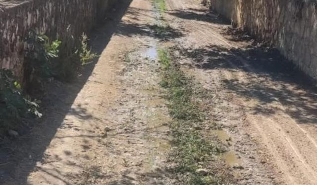 BAYIRKÖY BELEDİYESİ'NDEN KANAL TEMİZLİĞİ