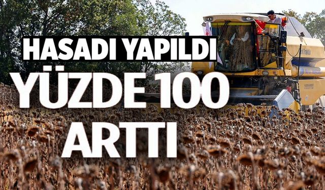 YAĞLIK AYÇİÇEĞİ EKİM ALANI 60 BİN DEKARDAN 111 BİN DEKARA YÜKSELDİ