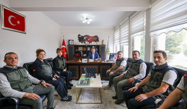 ORMAN YANGINLARI SONRASI AĞAÇLANDIRMA ÇALIŞMASI YAPILACAK