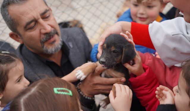 600 ÖĞRENCİ BARINAKTAKİ CAN DOSTLARINI ZİYARET ETTİ
