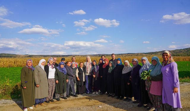 DAĞITILAN SEBZE FİDELERİNİN HASADINI YAPILDI