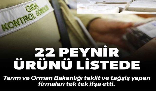 22 PEYNİR ÜRÜNÜ LİSTEDE