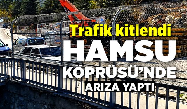 KÖPRÜDE ARIZA YAPAN KAMYONET TRAFİĞİ FELÇ ETTİ