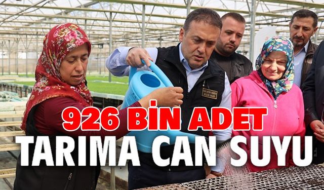 TARIMA CAN SUYU: 926 BİN MARUL FİDESİ TOPRAKLA BULUŞTU