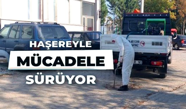 KIŞLAK İLAÇLAMA ÇALIŞMALARI SÜRÜYOR