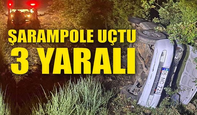ŞARAMPOLE UÇAN ARAÇ İÇİNDE BULUNAN 3 KİŞİ YARALANDI
