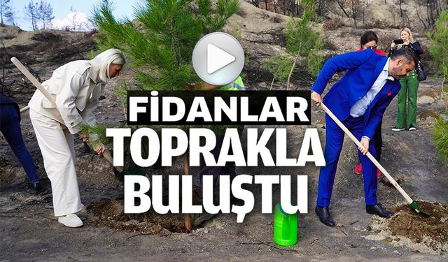 YANGIN BÖLGESİNDE İLK FİDANLAR TOPRAKLA BULUŞTU