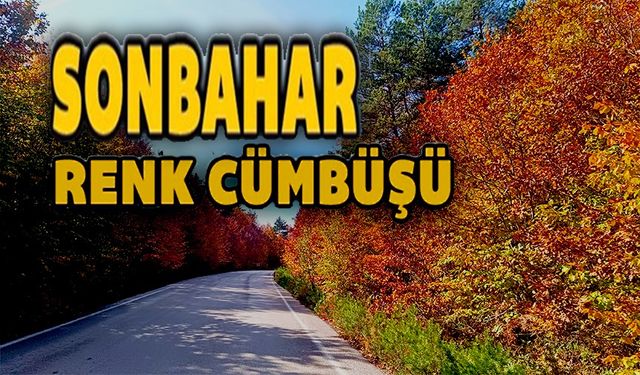 BOZCAARMUT'DA SONBAHAR BÜYÜSÜ