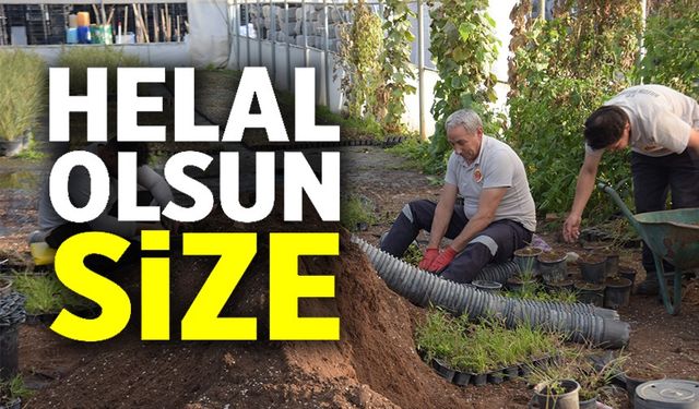 KENDİ SERALARINDA ÜRETTİĞİ BİTKİLERLE KENTİ RENKLENECEK