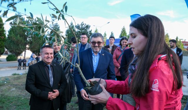 BŞEÜ'DE 150 ZEYTİN FİDANI DİKİLDİ