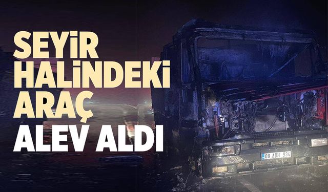 SEYİR HALİNDE BİR ANDA ALEV ALAN TIR KÜL OLDU