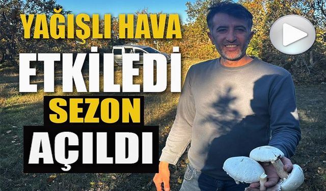 YAĞIŞLAR SONRASI ORMANLARDA MANTAR PATLAMASI YAŞANDI