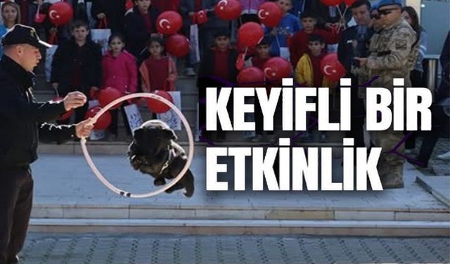 MİNİK ÖĞRENCİLER JANDARMA ETKİNLİKLERİ VE KÖPEK GÖSTERİLERİYLE TANIŞTI