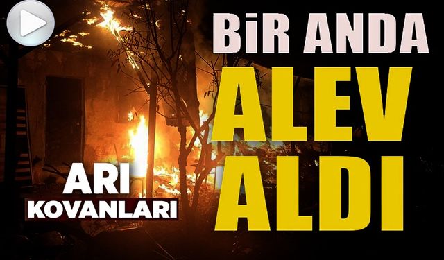 ARI KOVANLARININ BULUNDUĞU SUNDURMA YAPIDA YANGIN