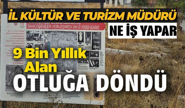 OTLUĞA DÖNEN 9 BİN YILLIK YAŞAM ALANI AÇIK HAVA MÜZESİ OLMASINI İSTEDİLER