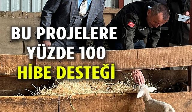 GENÇ GİRİŞİMCİYE YÜZDE 100 HİBE DESTEĞİYLE HAYVANCILIK PROJESİ