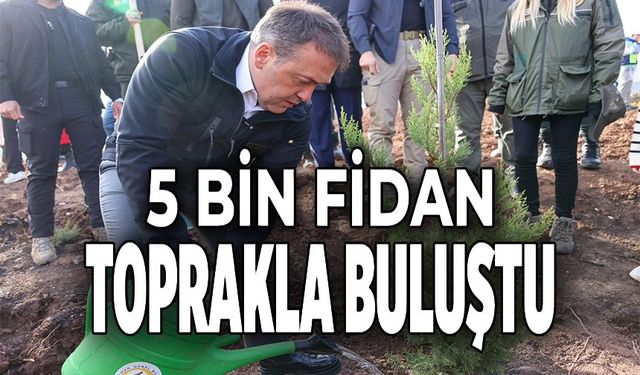 ORMAN YANGINLARINDAN ETKİLENEN BÖLGEDE 5 BİN FİDANI TOPRAKLA BULUŞTURULDU