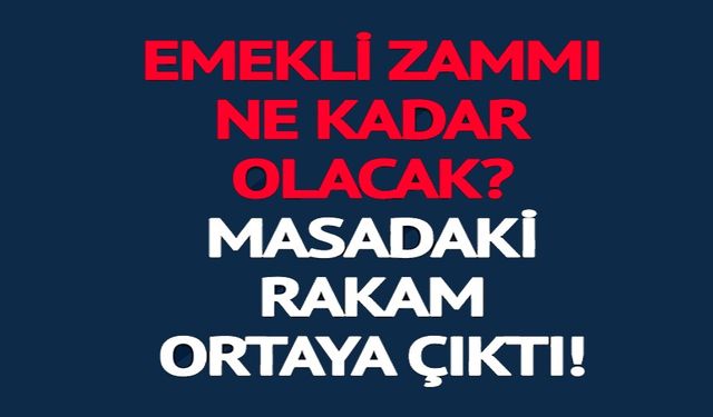 EMEKLİ ZAMMI İÇİN 3 FARKLI HESAP! MASADAKİ RAKAMLAR NETLEŞİYOR