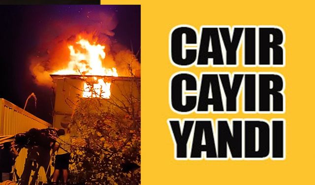 BİLECİK'TE KORKUTAN YANGIN