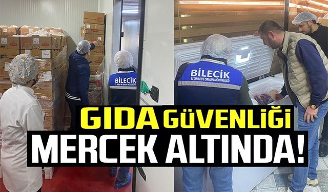GIDA VE YEM DENETİMLERİ ARALIKSIZ SÜRÜYOR
