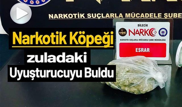 DEDEKTÖR KÖPEĞİ 'İNTEL'DEN UYUŞTURUCU OPERASYONU