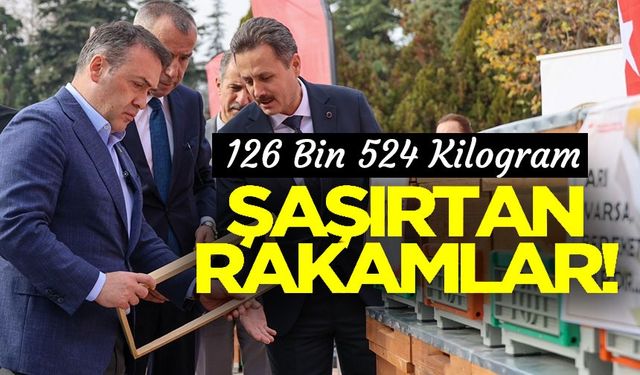 BU YIL 126 BİN 524 KİLOGRAM BAL ÜRETİLDİ