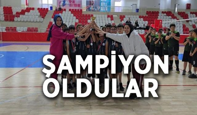 KÜÇÜK ERKEKLER VOLEYBOL MÜSABAKALARI TAMAMLANDI