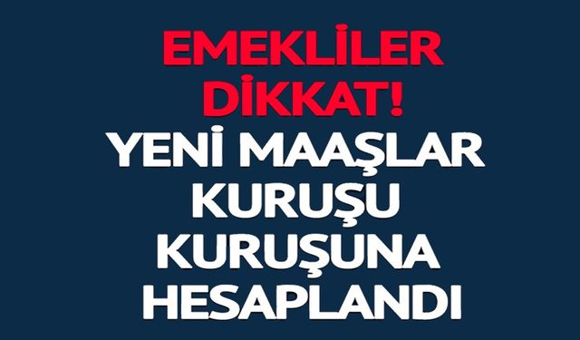 YENİ MAAŞLAR KURUŞU KURUŞUNA HESAPLANDI