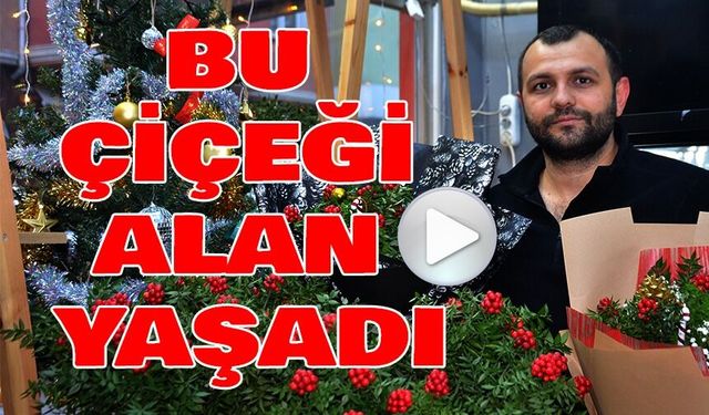 YILBAŞINA SAYILI GÜNLER KALA ÇİÇEKÇİLERDE TATLI BİR TELAŞ BAŞLADI