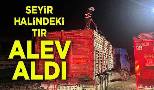 BİLECİK'TE SEYİR HALİNDE TALAŞ YÜKLÜ TIR DORSESİ ALEV ALDI