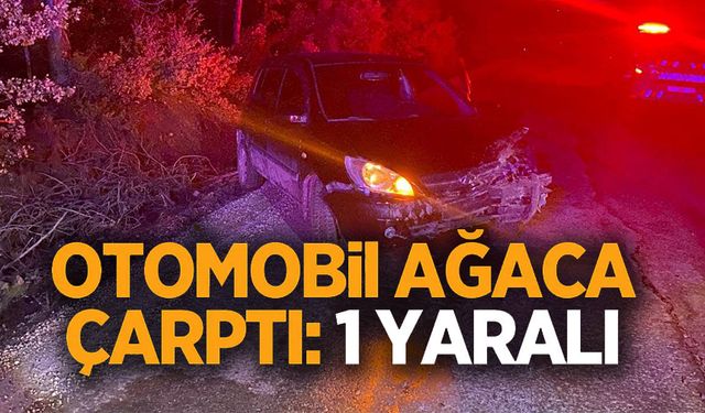 KONTROLDEN ÇIKAN OTOMOBİL AĞACA ÇARPTI: 1 YARALI