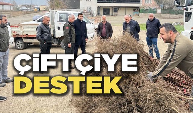 ÇİFTÇİLERE MEYVE FİDANI DESTEĞİ