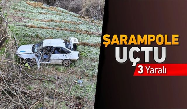 KONTROLDEN ÇIKAN OTOMOBİL ŞARAMPOLE UÇTU: 3 YARALI