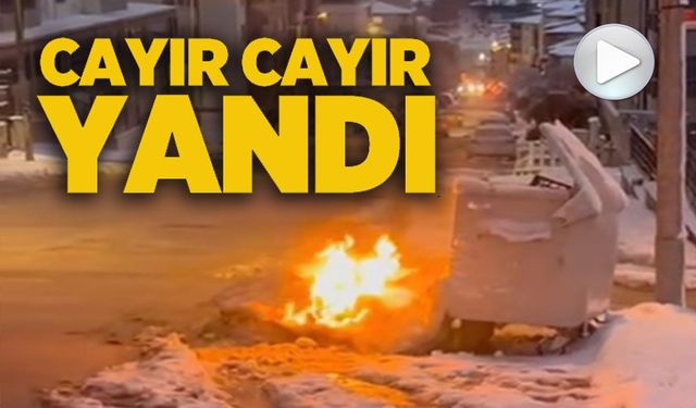 ÇÖP KONTEYNIRI YANINA BIRAKILAN EŞYALAR ALEV ALDI