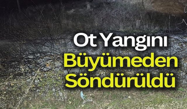 KÜÇÜK ÇAPLI OT YANGINI ERKEN MÜDAHALEYLE SÖNDÜRÜLDÜ