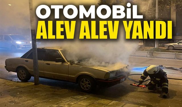 PARK HALİNDEKİ OTOMOBİL ALEV ALEV YANDI