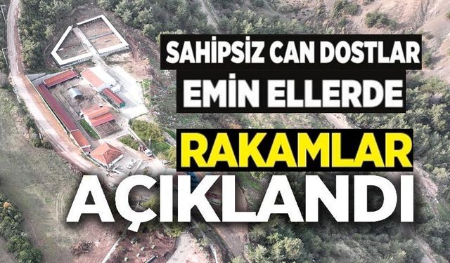 CAN DOSTLAR EMİN ELLERDE