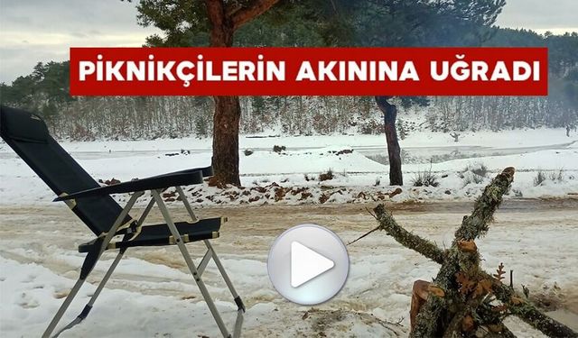YAĞAN KAR SONRASI ADLİYE GÖLEDİ PİKNİKÇİLERİN AKININA UĞRADI